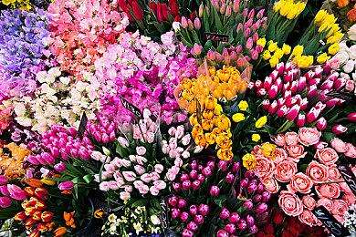 《Muv-Luv》《Muv-Luv AL》3＆28推出Switch版