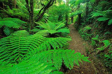 《黑神话》全球爆火 韩网友竟称《西游记》作者是韩国人